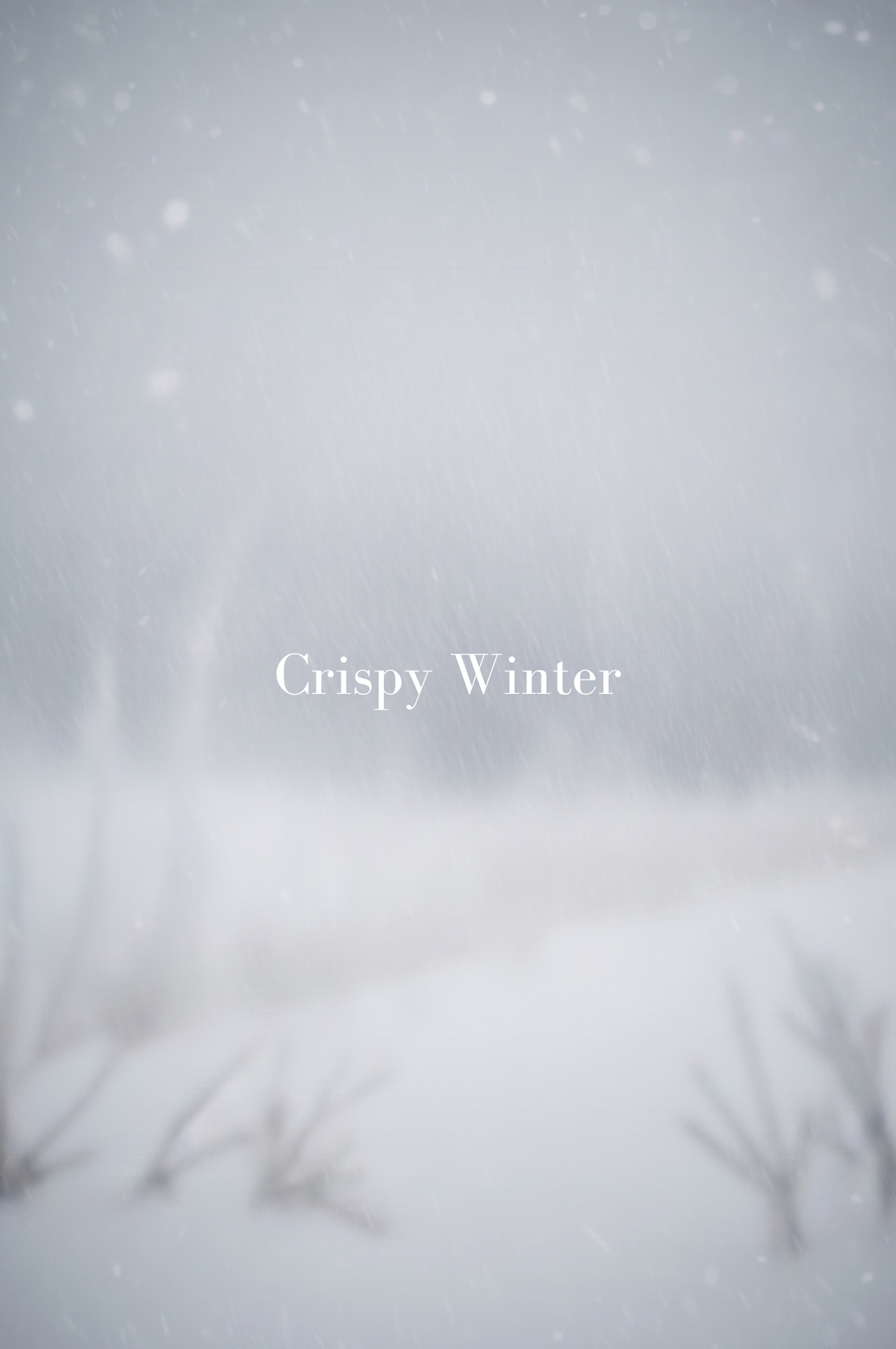 Crispy Winter - Lanseras 2027