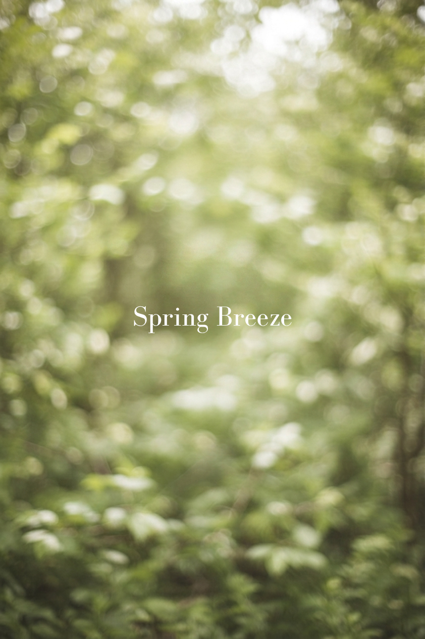 Spring Breeze - Lanseras 2027