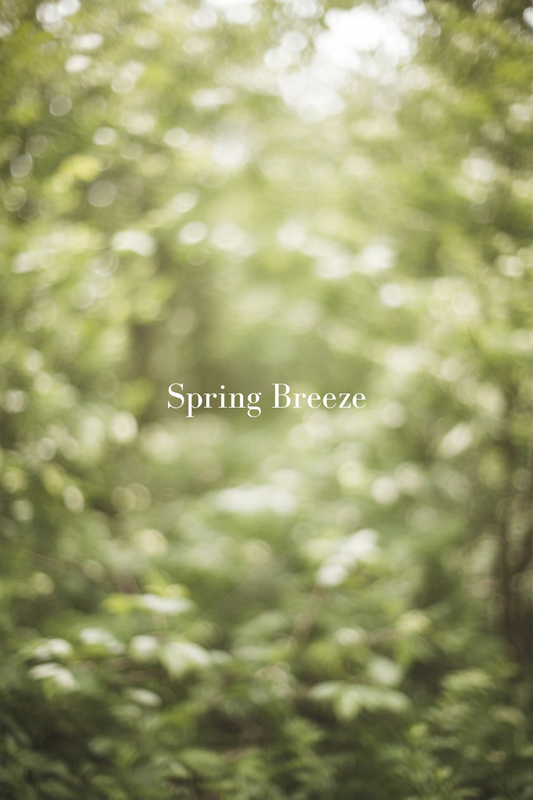 Spring Breeze - Lanseras 2027
